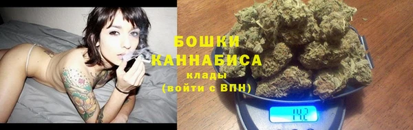 винт Абаза