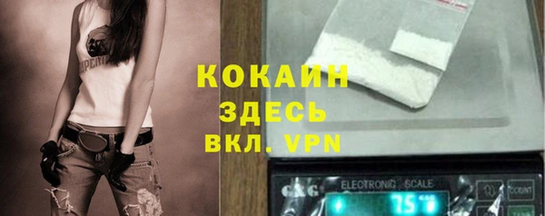 винт Абаза