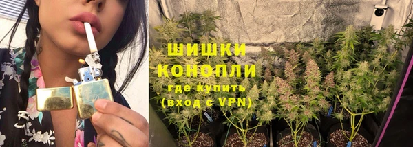 винт Абаза