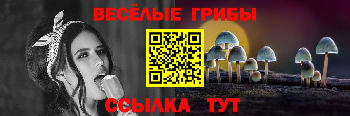 Галлюциногенные грибы GOLDEN TEACHER  Вход с VPN  купить закладку  Шарыпово 